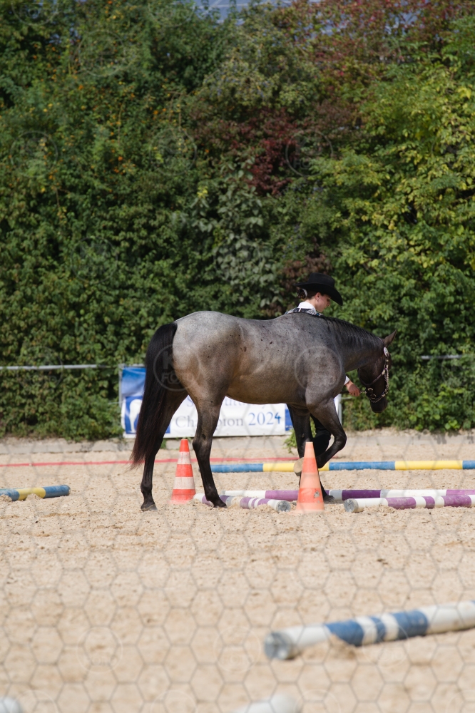 s_batch_A9_00018.jpg